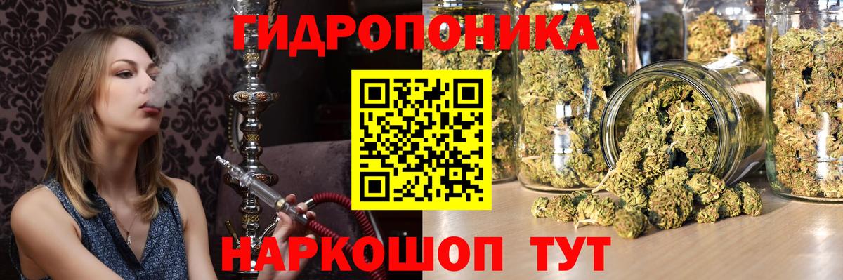 Конопля план Елизово